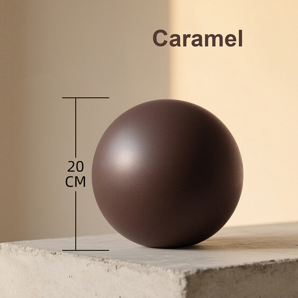 20cm Matte Exercise Ball Barre - Pilates Yoga Ball Exercises review and price