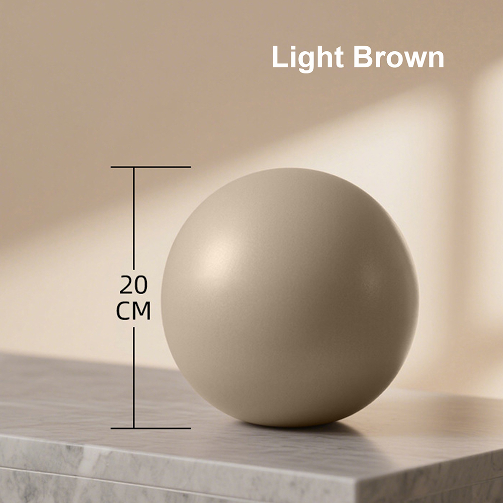20cm Matte Exercise Ball Barre - Pilates Yoga Ball Exercises review and price